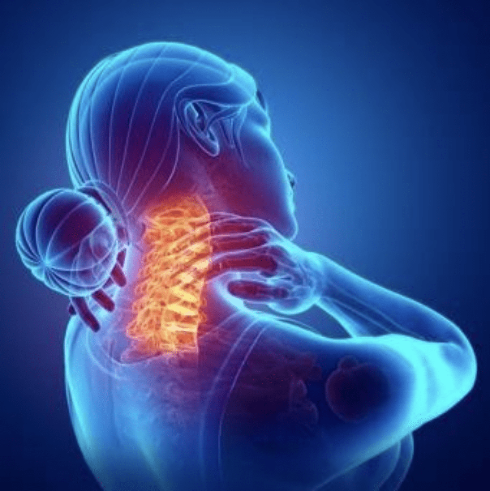 Don t Miss Article On Neck Pain Guidelines For Cervical Spine Joint 